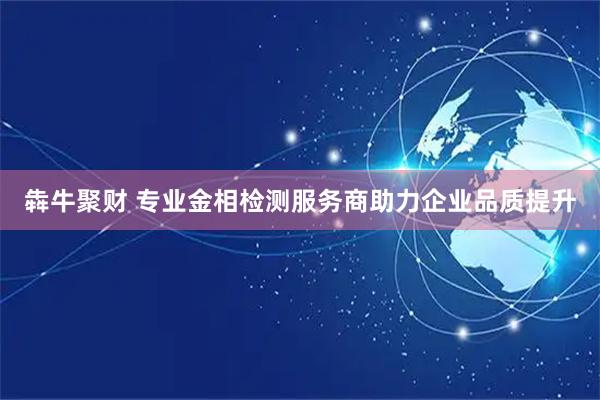 犇牛聚财 专业金相检测服务商助力企业品质提升
